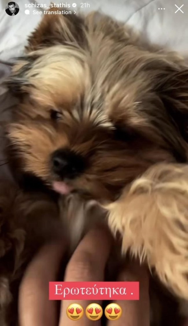 Η νέα αδυναμία του Στάθη Σχίζα: "Ερωτεύτηκα" - Η φωτογραφία στα social media