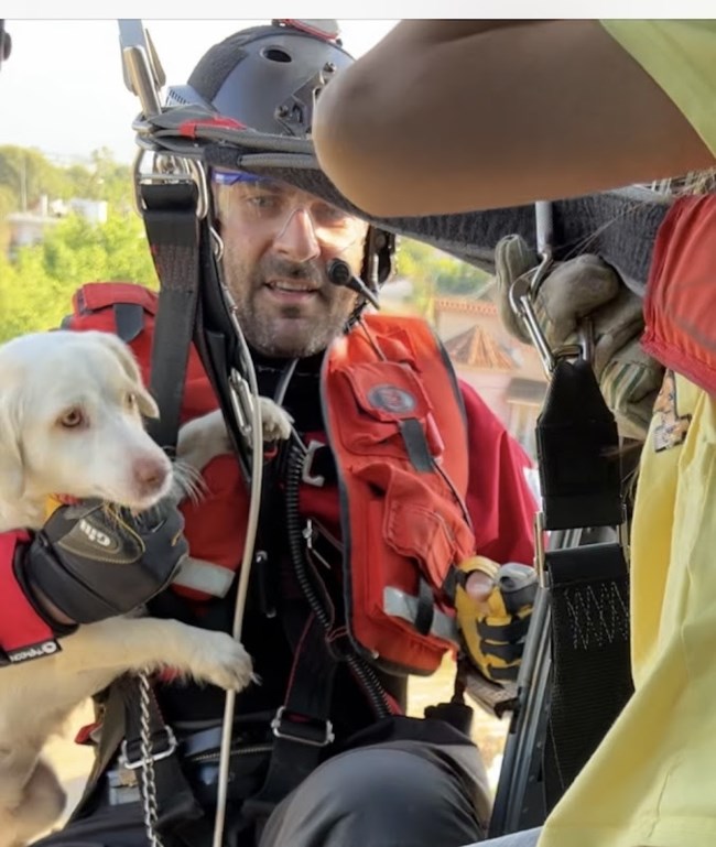 ΛΟΥΝΑ ΔΙΑΣΩΣΗ