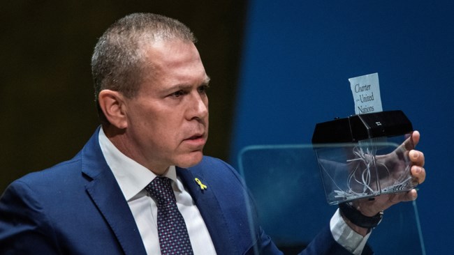 ΟΗΕ ΙΣΡΑΗΛ