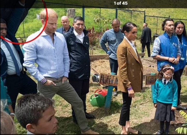 megkan xari