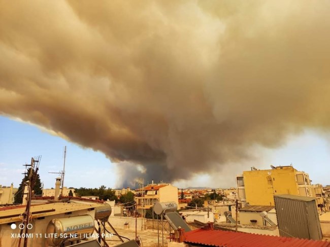 Φωτιά Αλεξανδρούπολη