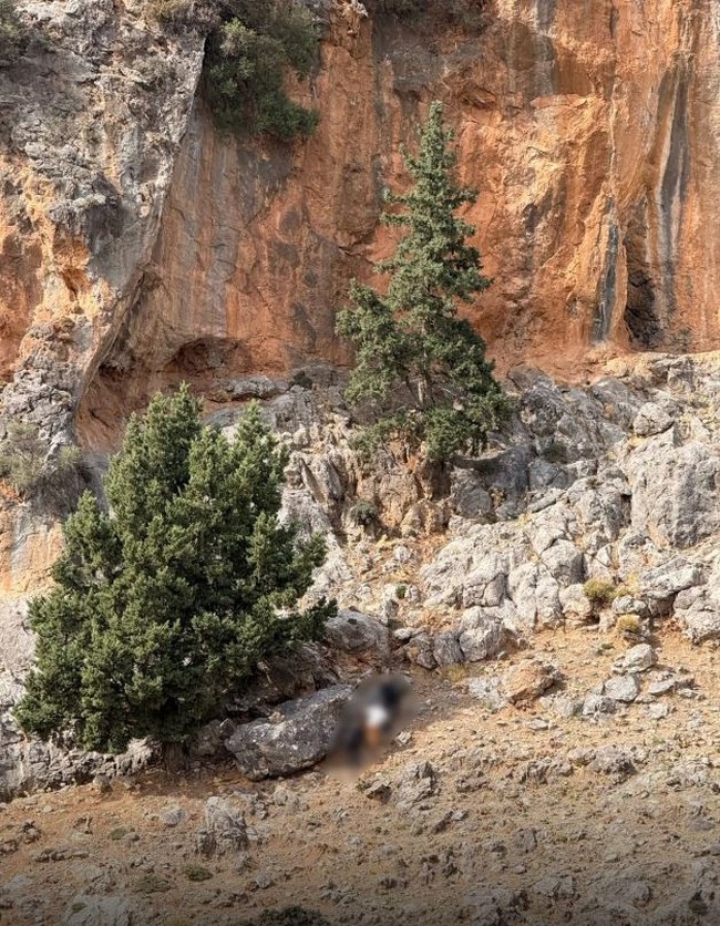 Βορίζια: Συμμετείχε στο μακελειό ο γαμπρός του Καργάκη - Θεωρείται ύποπτος για τη δολοφονία της 56χρονης