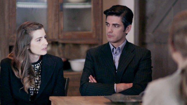 ΑΓΡΙΕΣ ΜΕΛΙΣΣΕΣ