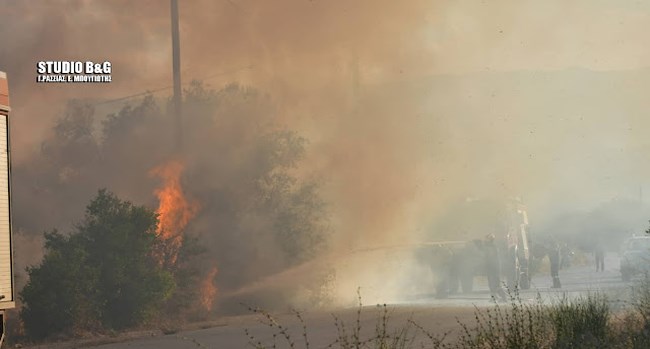 Φωτιά στην Αργολίδα