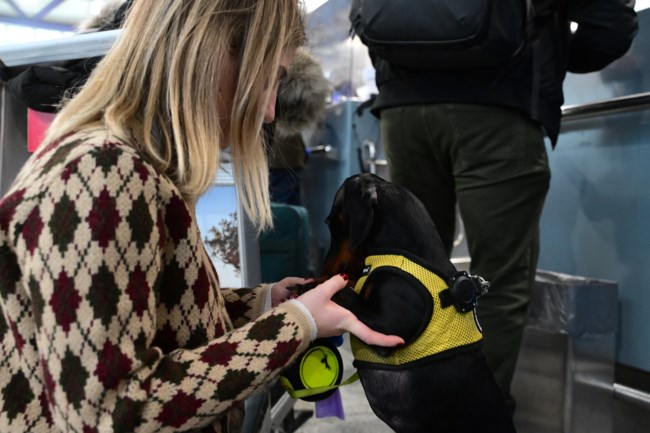 Ξεκίνησε η αποκατάσταση του τεχνικού ζητήματος στο FIR Αθηνών - Χάος και ταλαιπωρία στα ελληνικά αεροδρόμια