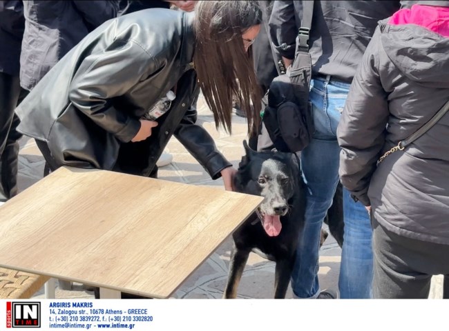 ΚΗΔΕΙΑ ΛΙΜΕΝΙΚΟΥ ΛΕΣΒΟΣ