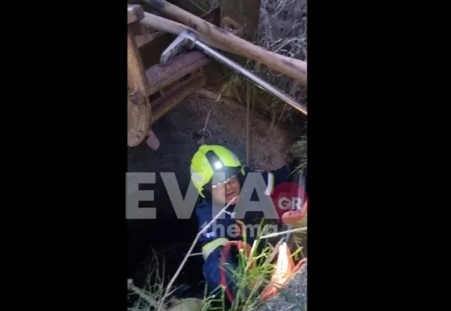 Διάσωση σκύλου στα Ψαχνά Ευβοίας: Εθελοντές τον έβγαλαν από πηγάδι