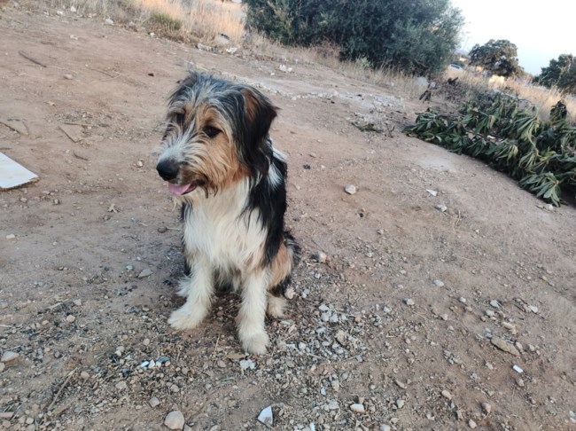 ασπρόπυργος