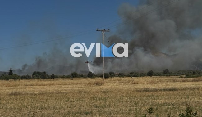 ευβοια