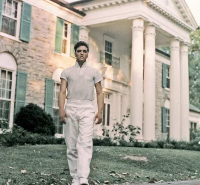 ELVIS