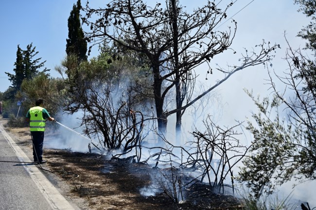 Φωτιά Κουβαράς