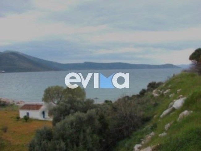 "Πάλεψα με ρεύματα και ανέμους και τις έφτασα με δυσκολία": Η μαρτυρία του ήρωα αστυνομικού που έσωσε μάνα και κόρη στο Αλιβέρι