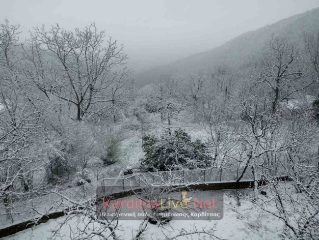 karditsa