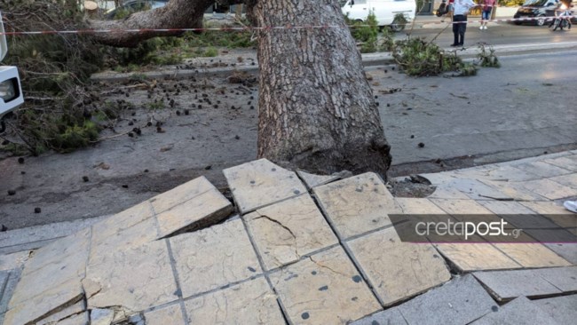 Ατύχημα Κρήτη δέντρο