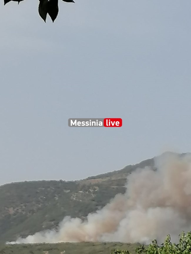 Φωτιά στη Μεσσηνία