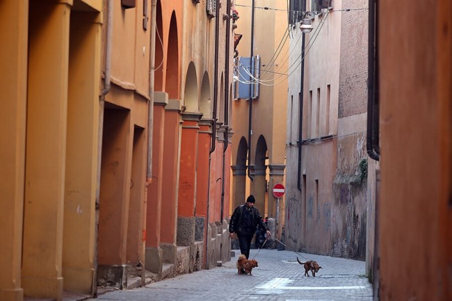ITALY DOGS