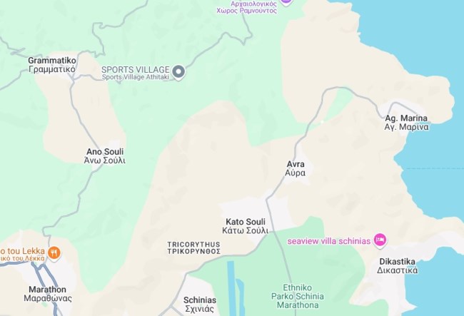 Οριοθετήθηκε η πυρκαγιά στην Αγία Μαρίνα Γραμματικού