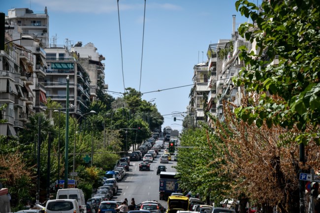 Γιατί ξεραίνονται οι μουριές της Αθήνας - Ψάχνουν λύση οι γεωπόνοι [Εικόνες]