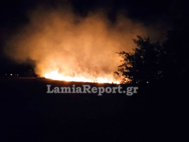 Φωτιά στη Φωκίδα: Καταγγέλλουν εμπρησμό οι κάτοικοι- "Είδαμε μηχανάκι να φεύγει και μετά ξεπήδησαν οι φλόγες" [Βίντεο]