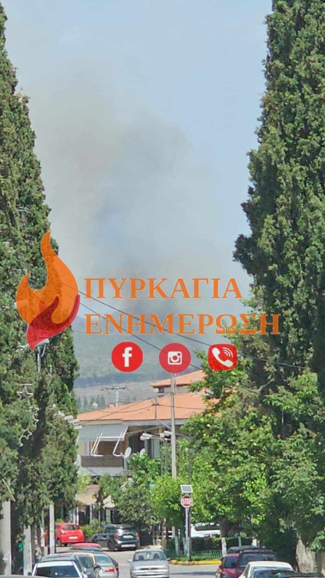 ΦΩΤΙΑ ΚΡΥΟΝΕΡΙ