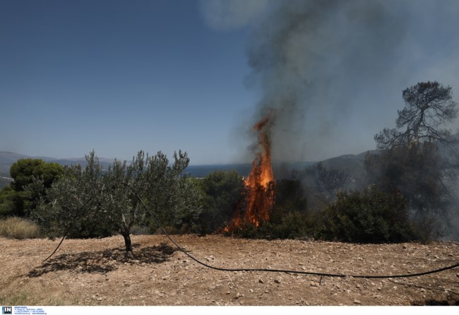 Φωτιά στις Κεχριές: Σε κατάσταση έκτακτης ανάγκης πέντε περιοχές της Κορινθίας [Εικόνες-Βίντεο]