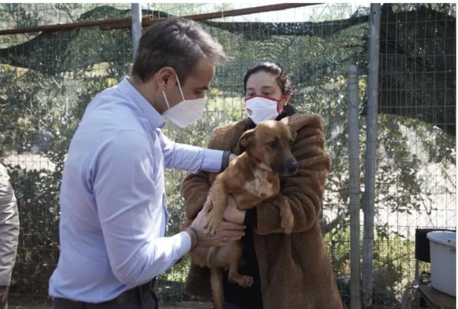 Το πρώην σπίτι του Πίνατ κλείνει - Η ανάρτηση της ΖΕΗΛ για το καταφύγιο αδέσποτων ζώων στο δήμο Ηλιούπολης