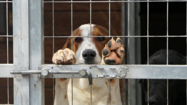 Προσπαθεί τόσο πολύ να είναι τέλειος, και ας κάνει λάθη, και ας μην ξέρει τα πάντα