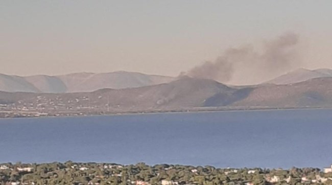 Φωτιά ξανά στο Σχινιά δίπλα από το κωπηλατοδρόμιο - Mεγάλη επιχείρηση της Πυροσβεστικής