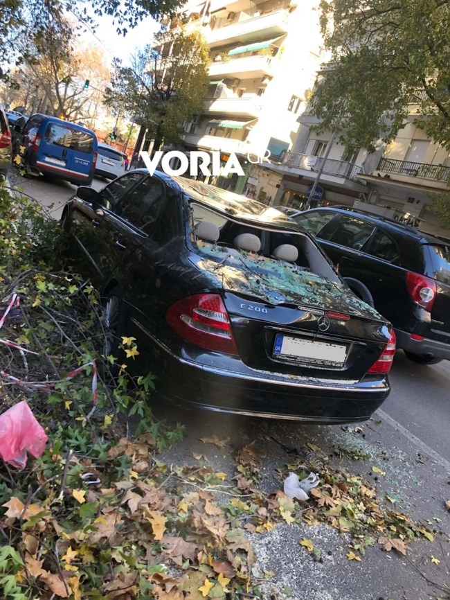 Θεσσαλονίκη: Ισχυροί άνεμοι έως 7 μποφόρ ''σαρώνουν'' την πόλη - Προβλήματα με πτώσεις δέντρων