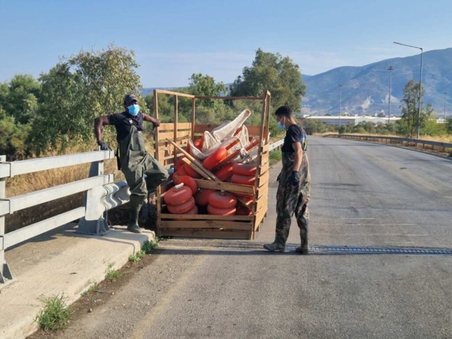 ΝΕΚΡΑ ΨΑΡΙΑ ΒΟΛΟΣ