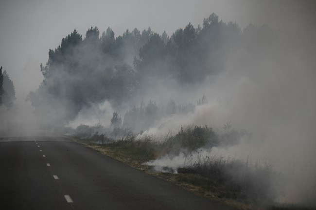 Οι δασικές πυρκαγιές απειλούν την Ευρώπη: Ρεκόρ καμένων εκτάσεων φέτος - "Στάχτη" πάνω 6,6 εκατ. στρέμματα