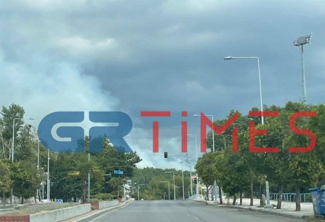 ΦΩΤΙΑ ΣΕΙΧ ΣΟΥ