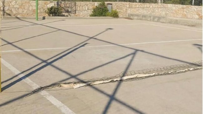 γαυδος