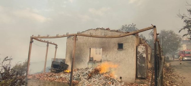 Καταστροφικό είναι το πέρασμα της πυρκαγιάς από το Κρυονέρι Μεσσηνίας