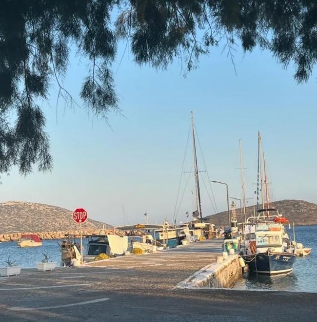 ΖΟΥΓΑΝΕΛΗ ΣΥΡΙΓΟΣ