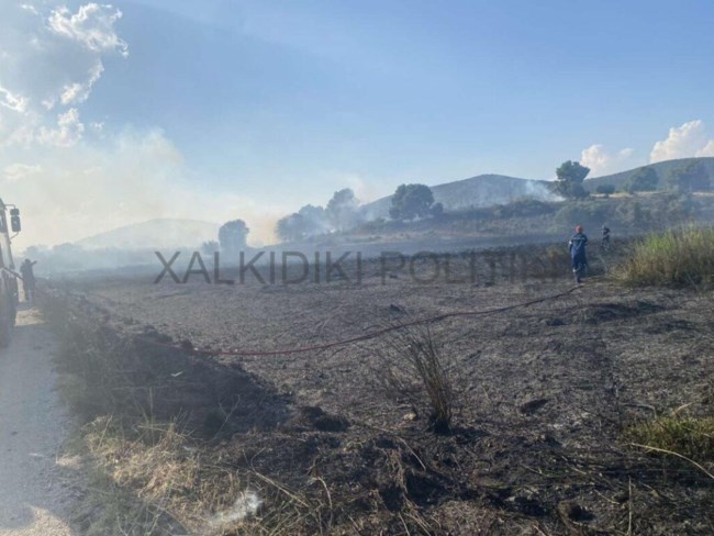 Φωτιά στη Χαλκιδική: Μάχη να μην περάσει στο βουνό- Πνέουν ισχυροί άνεμοι [Εικόνες]