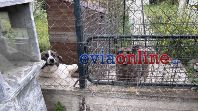 ΕΓΚΛΗΜΑ ΕΥΒΟΙΑ