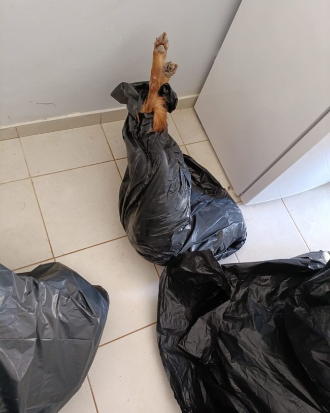 τριπολη