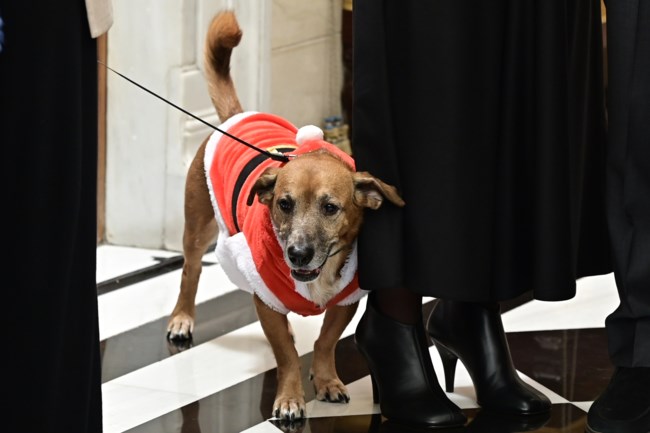 ΜΕΓΑΡΟ ΜΑΞΙΜΟΥ