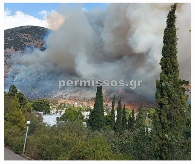 Φωτιά στο Δίστομο