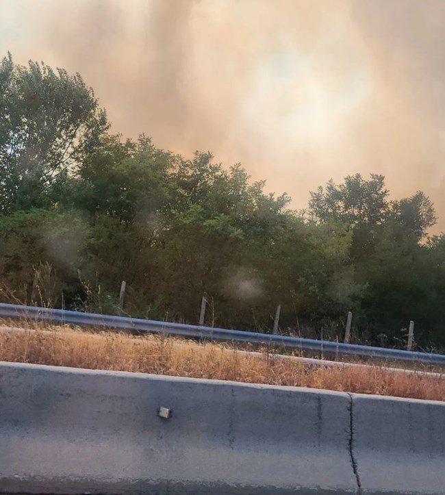 Φωτιά στην Άσσηρο Θεσσαλονίκης: Έφθασε στην παλιά εθνική οδό - Ενισχύθηκαν οι Πυροσβεστικές δυνάμεις