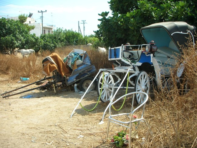 a promise to animals