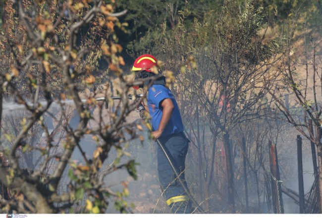 Φωτιά στο Μαρούσι: Συναγερμός για πυρκαγιά κοντά στο Κτήμα Βορρέ