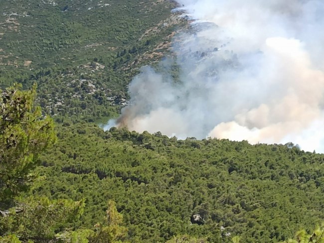 Φωτιά στο Πόρτο Γερμενό