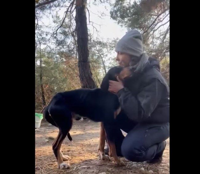 Ο Θάνος είναι πετσί και κόκκαλο από την αδυναμία, τρέμοντας, με την ουρίτσα του στα σκέλια το μόνο που θέλει είναι χάδια - Βίντεο