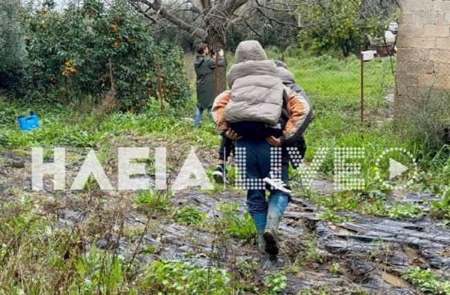 ΜΑΖΑΡΑΚΙ ΗΛΕΙΑΣ