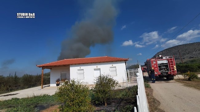 ΦΩΤΙΑ ΔΡΕΠΑΝΟ