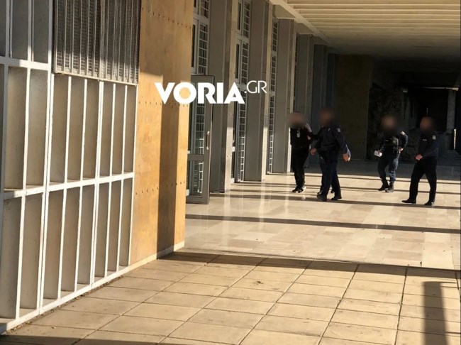 ΕΛΙΣΣΑΒΕΤ ΣΚΥΛΙΑ ΘΕΣΣΑΛΟΝΙΚΗ