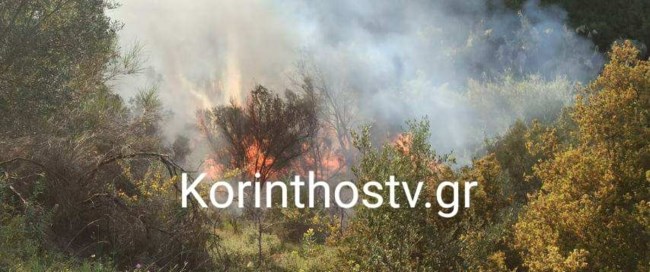 Κορινθία: Φωτιά σε δασική έκταση στο Λουτράκι