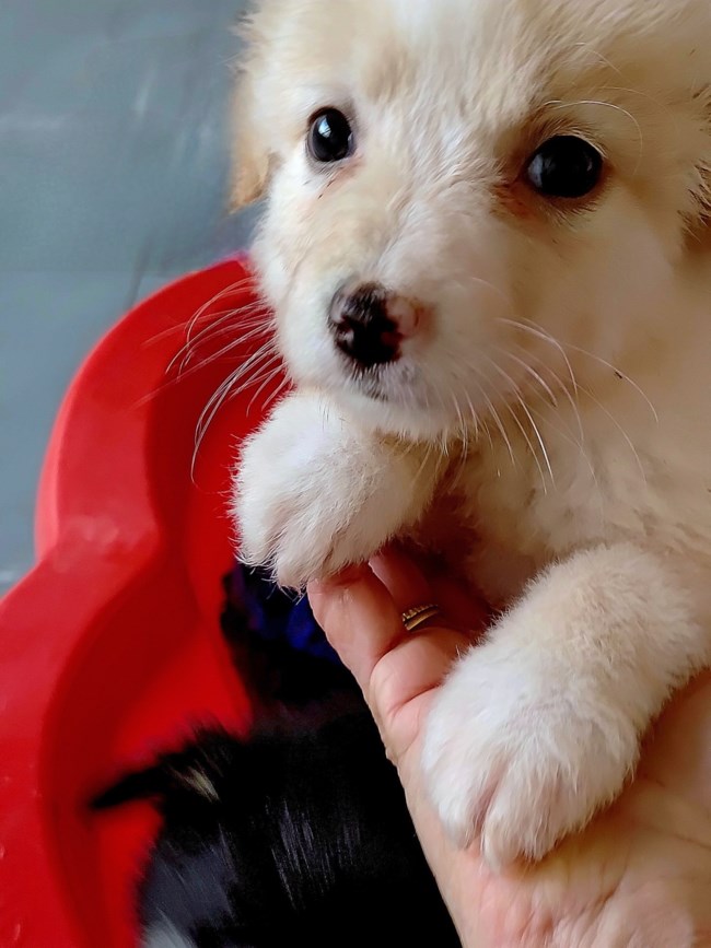 Σαν μικρό προβατάκι κοιμάται γλυκά, σφιχτά σε κρατάει αγκαλιά... Η μικρούλα θα σας ακολουθεί, θα βλέπει όνειρα, θα κάνει φωνούλες...